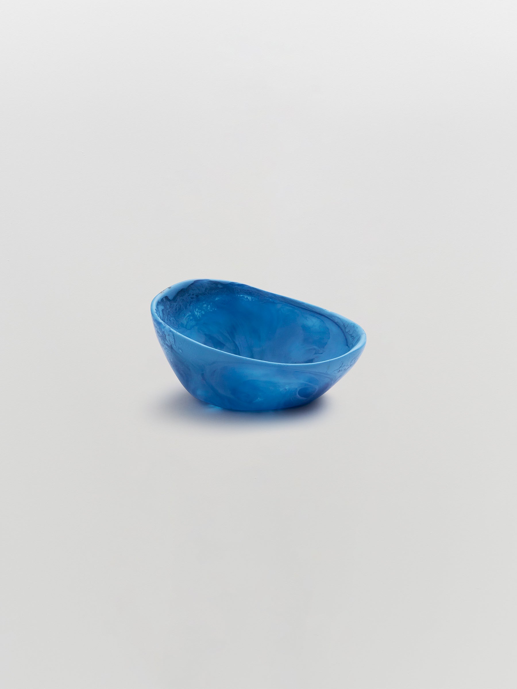 dinosaur designs resin flow spice dish