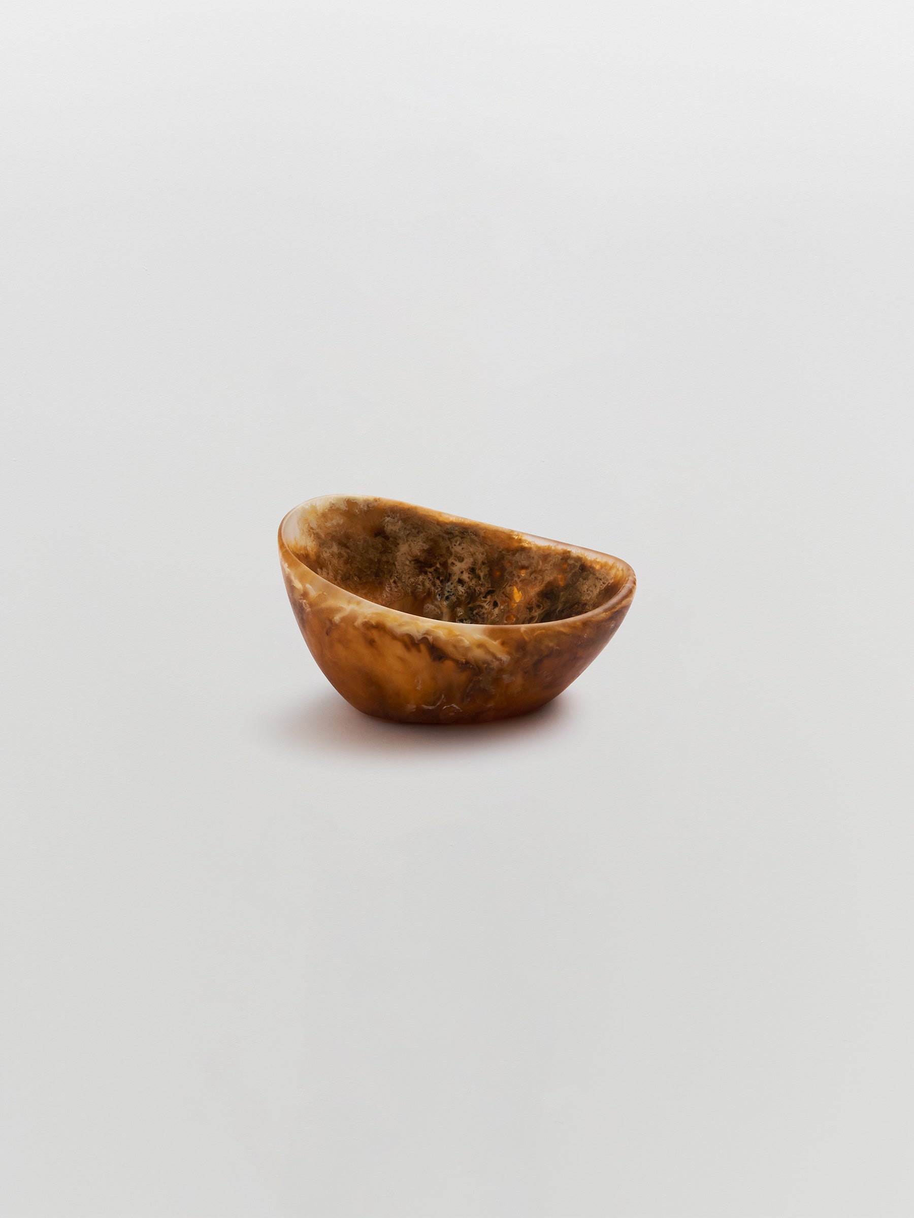 dinosaur designs resin flow spice dish