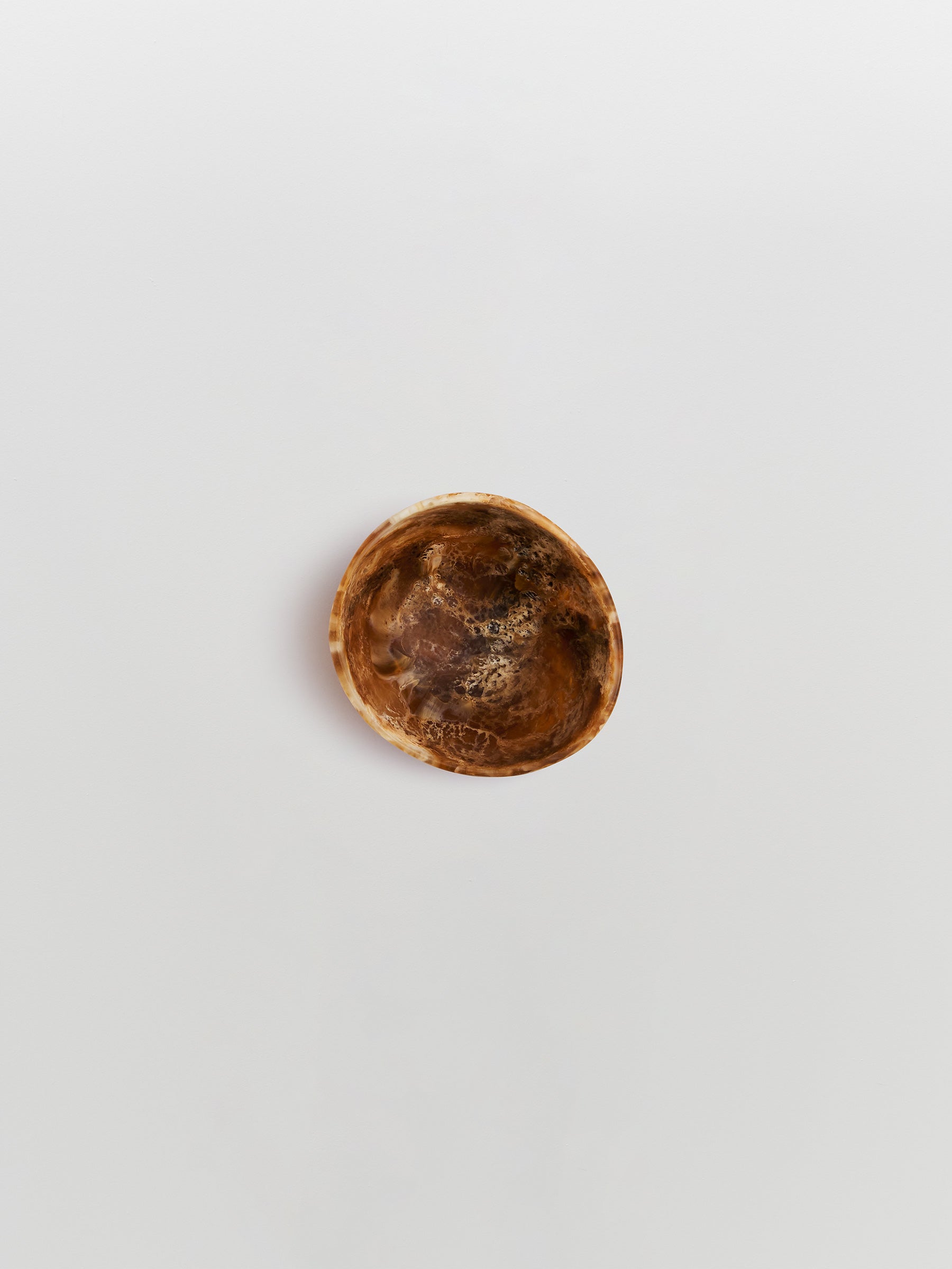 dinosaur designs resin flow spice dish