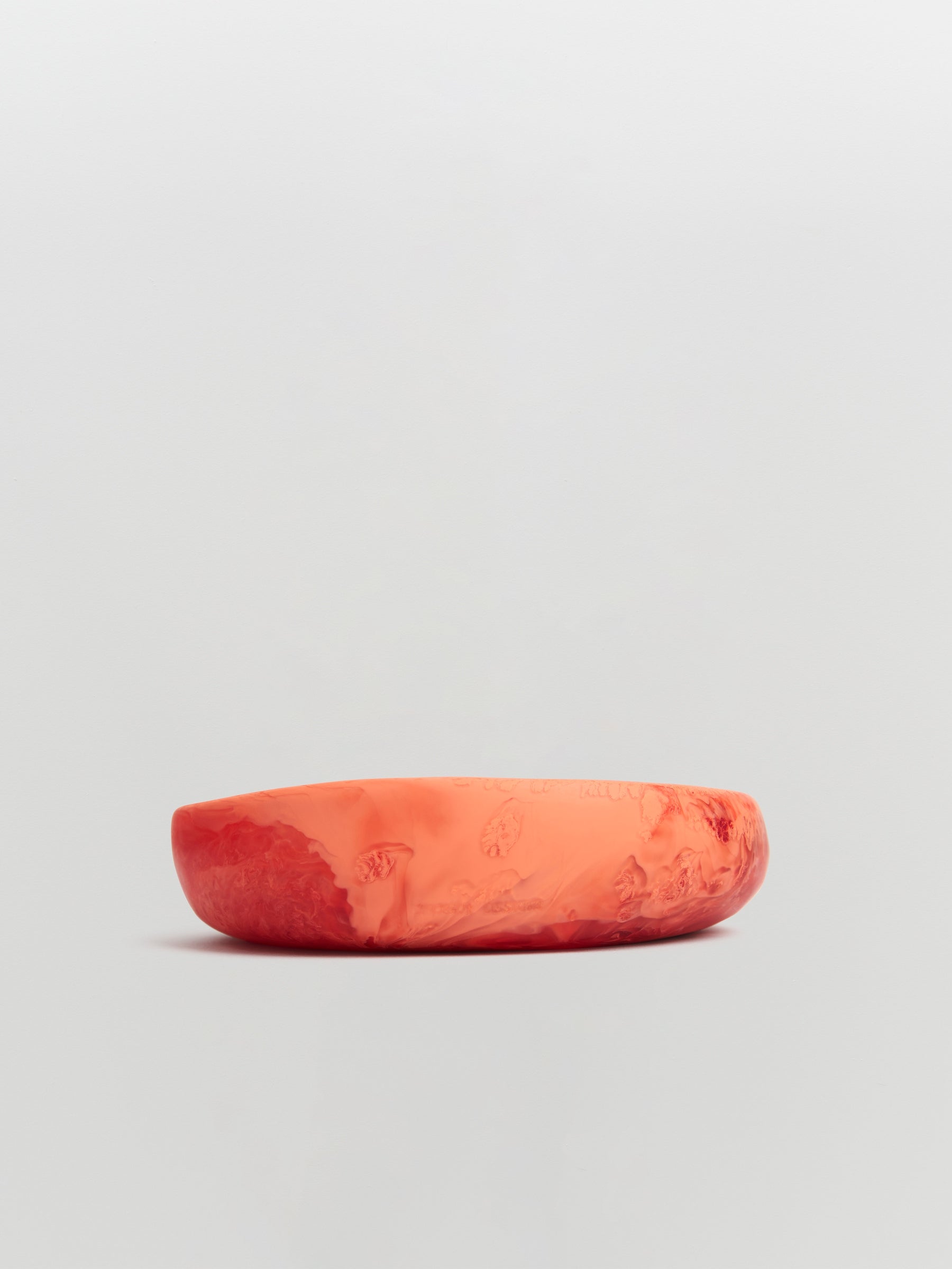 dinosaur designs small earth bowl