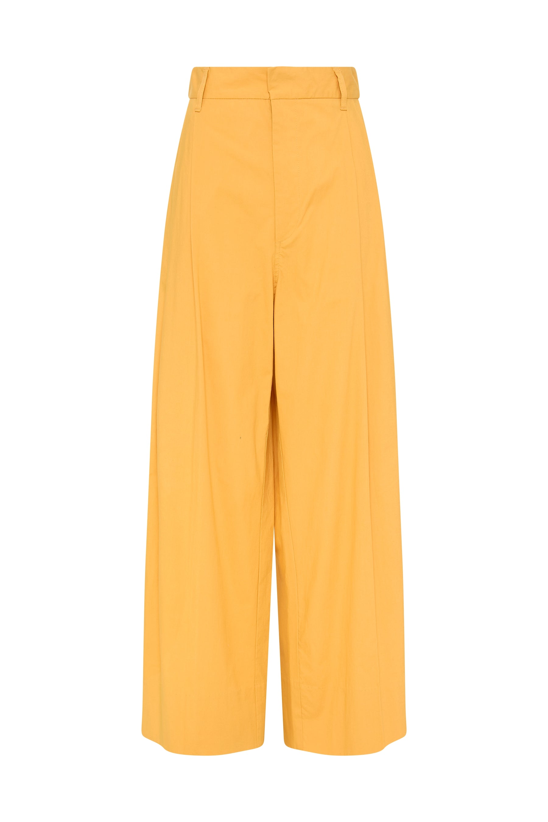 relaxed pleat front pant