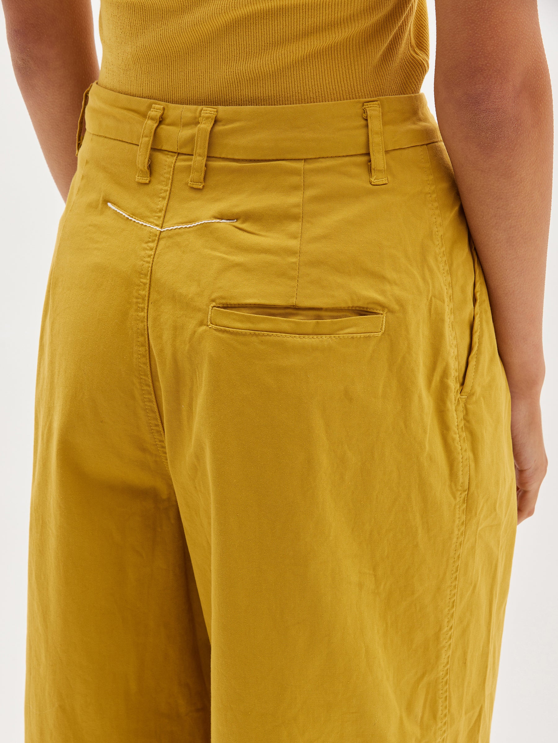 pleat front tailored pant