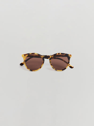 illesteva sterling tortoise